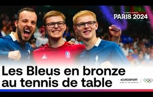 Les bleus en bronze